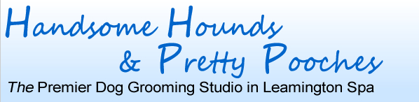 Handsome Hounds & Pretty Pooches - The Premier Dog Grooming Studio in Leamington Spa